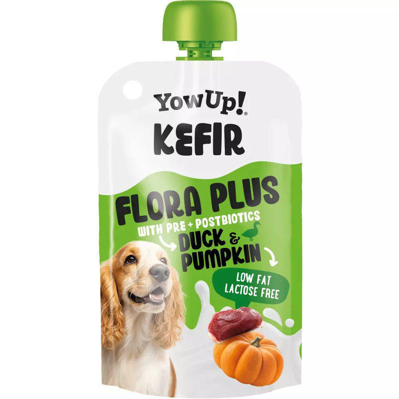 YowUp! Kefir cu rata si dovleac