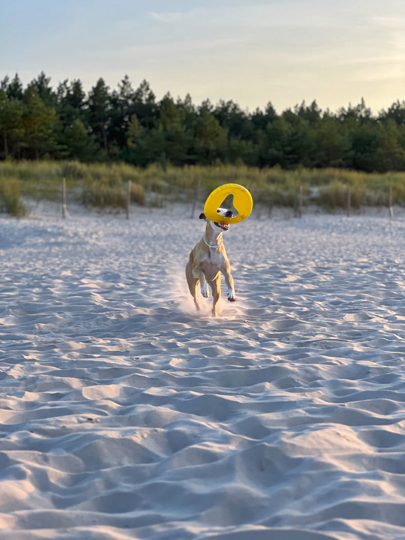 Fiboo Jucarie Frisbee Galben 25cm