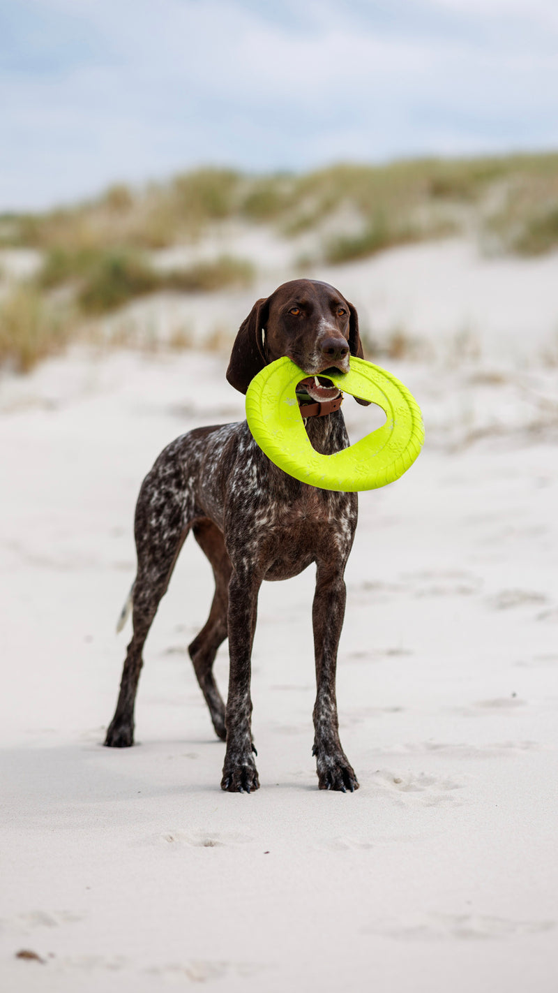 Fiboo Jucarie Frisbee Verde 25cm