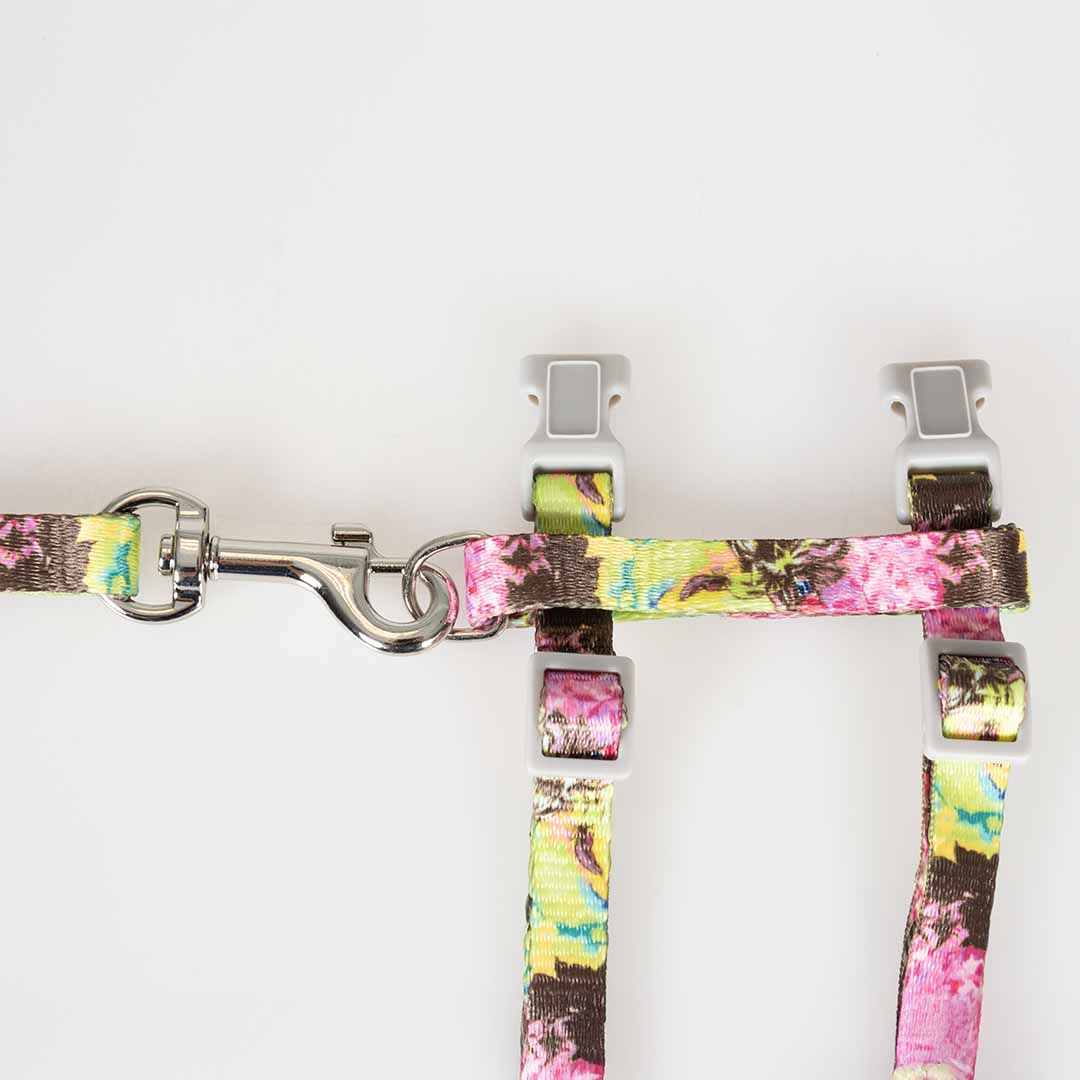 Set plimbare pisici Flower Splash 20-35cm