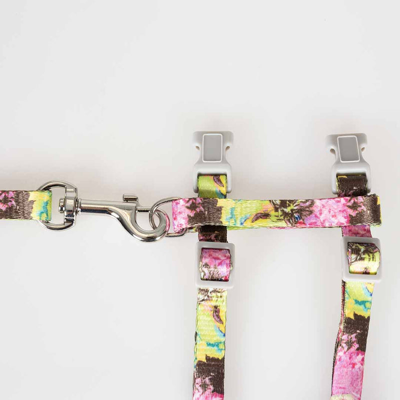 Set plimbare pisici Flower Splash 20-35cm