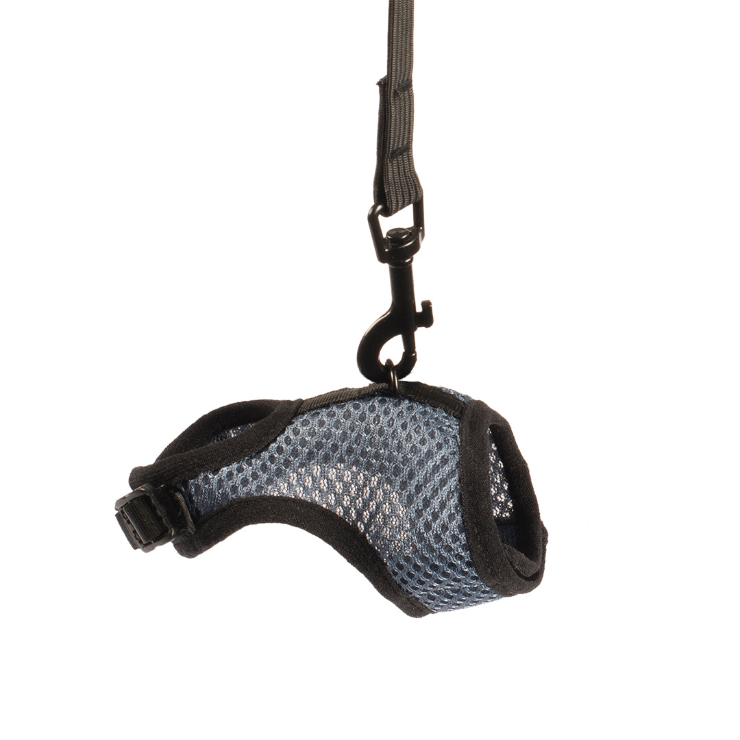 Ham animale mici M 7x10x2cm Albastru