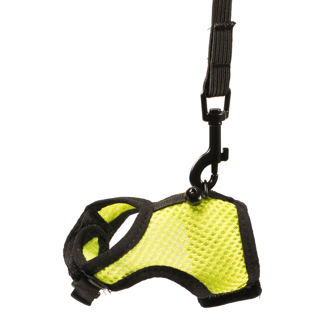 Ham animale mici M 7x10x2cm Galben