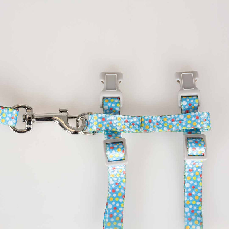 Set plimbare pisici Colorfull Balls 20-35cm