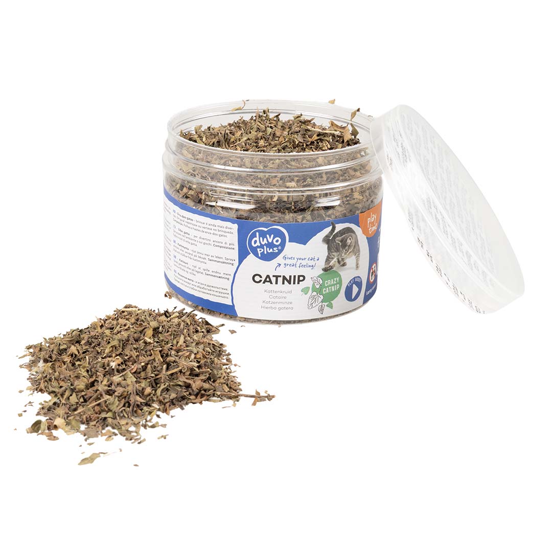 Iarba Matei 30g