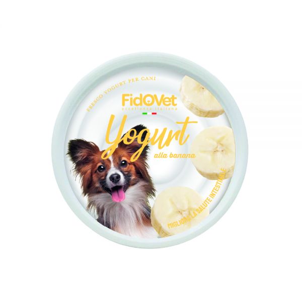 Fidovet Iaurt cu aroma de banane
