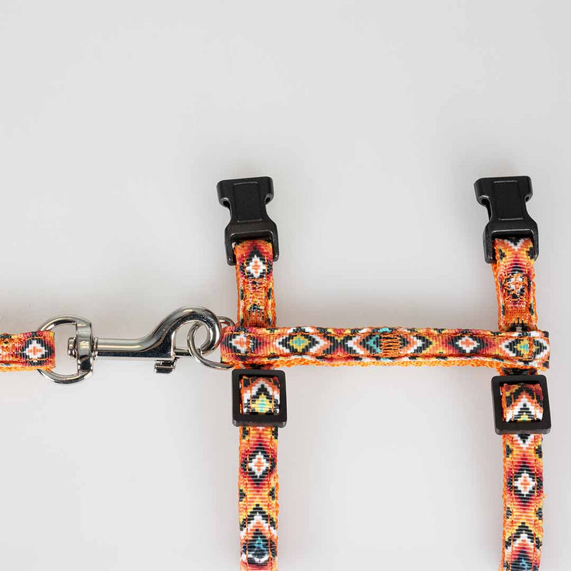 Set plimbare pisici Indian Design 20-35cm