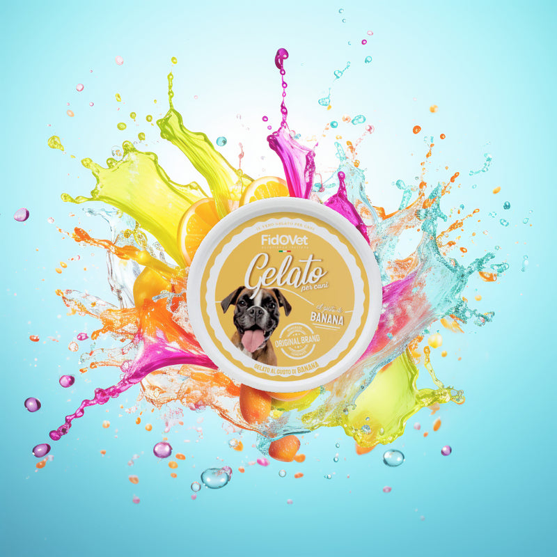 Fidovet Inghetata pentru Caini cu aroma de banane