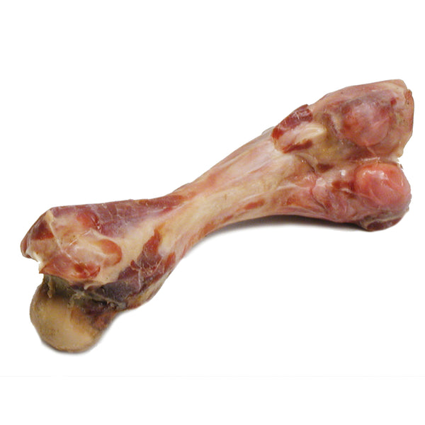 Italian Ham Bone Maxi 20x4x3.5cm