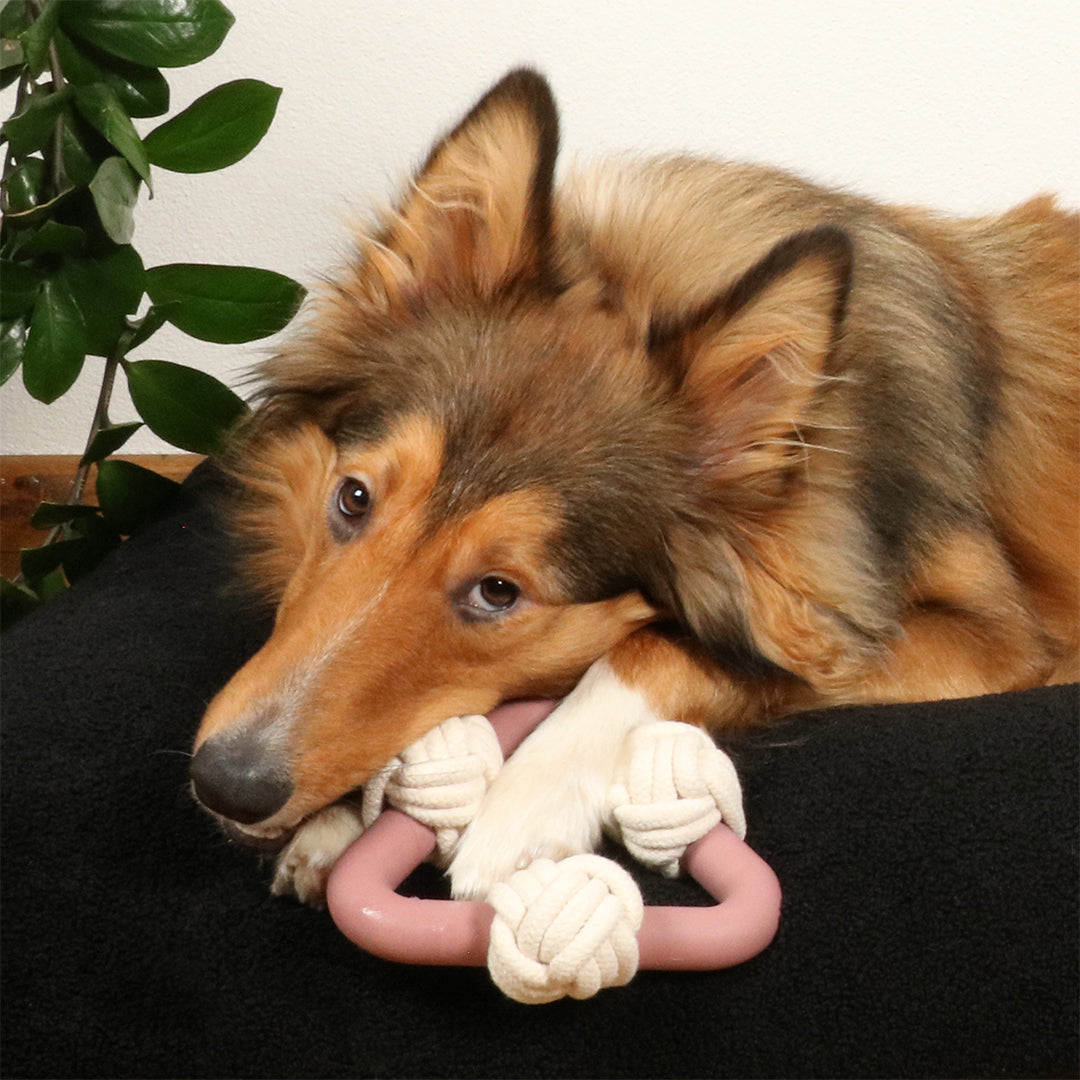 Jucarie caini Milou rosewood roz