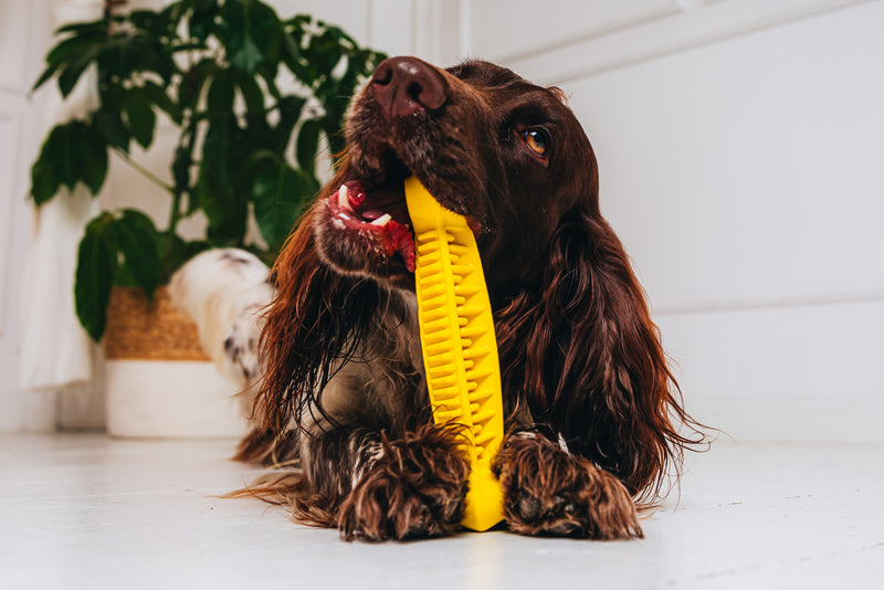 Fiboo Jucarie Dental Os Galben