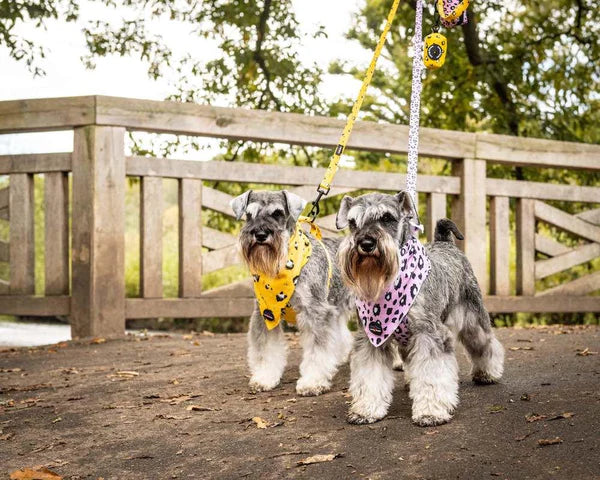 Long Paws Bandana FTD Mustard Panda