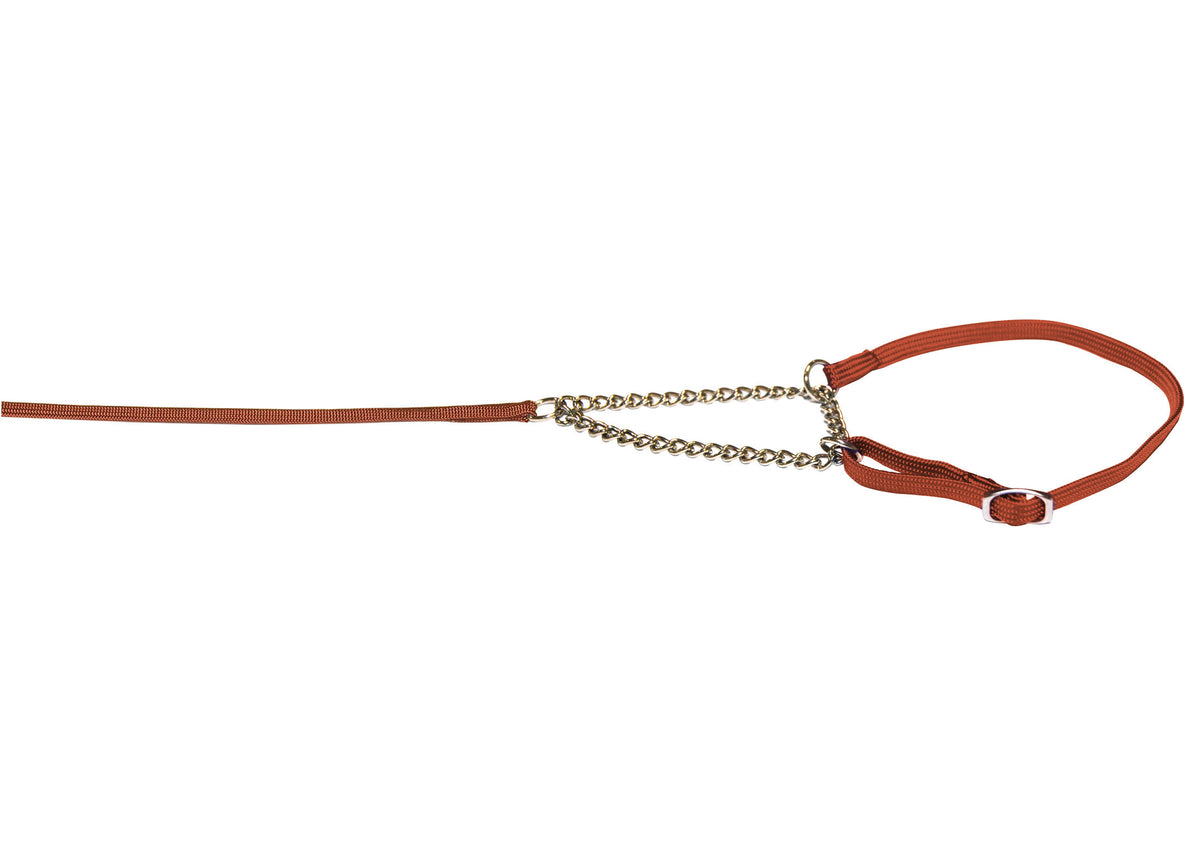Lesa prezentare cu zgarda Combi Maro 0.7cmx140cm