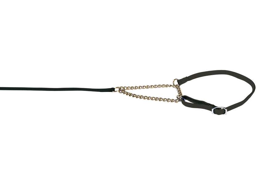 Lesa prezentare cu zgarda Combi Neagra 0.7cmx140cm