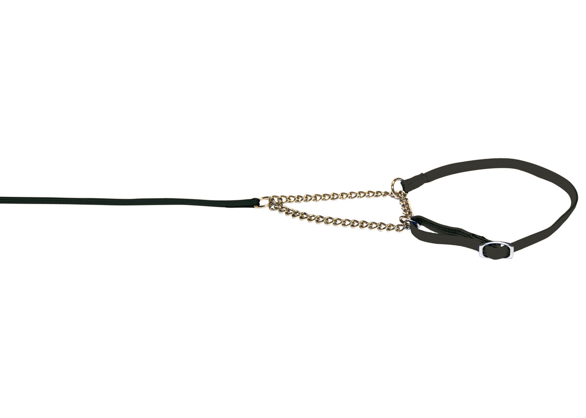 Lesa prezentare cu zgarda Combi Neagra 0.7cmx140cm
