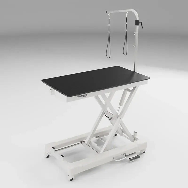 Masa electrica Waggz Roll-Light