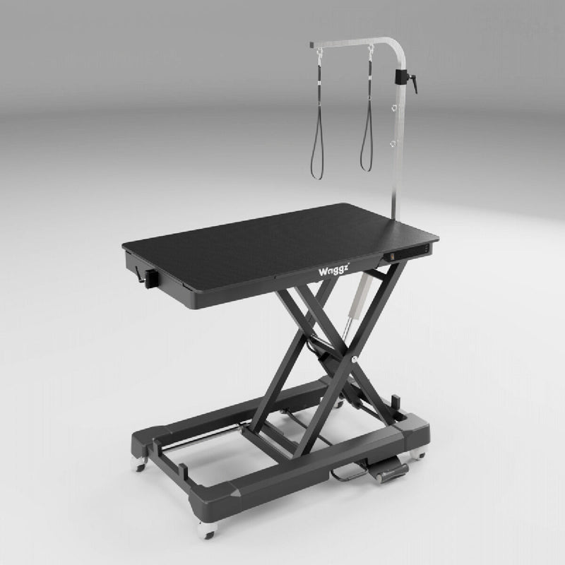 Masa electrica Waggz Roll-Light