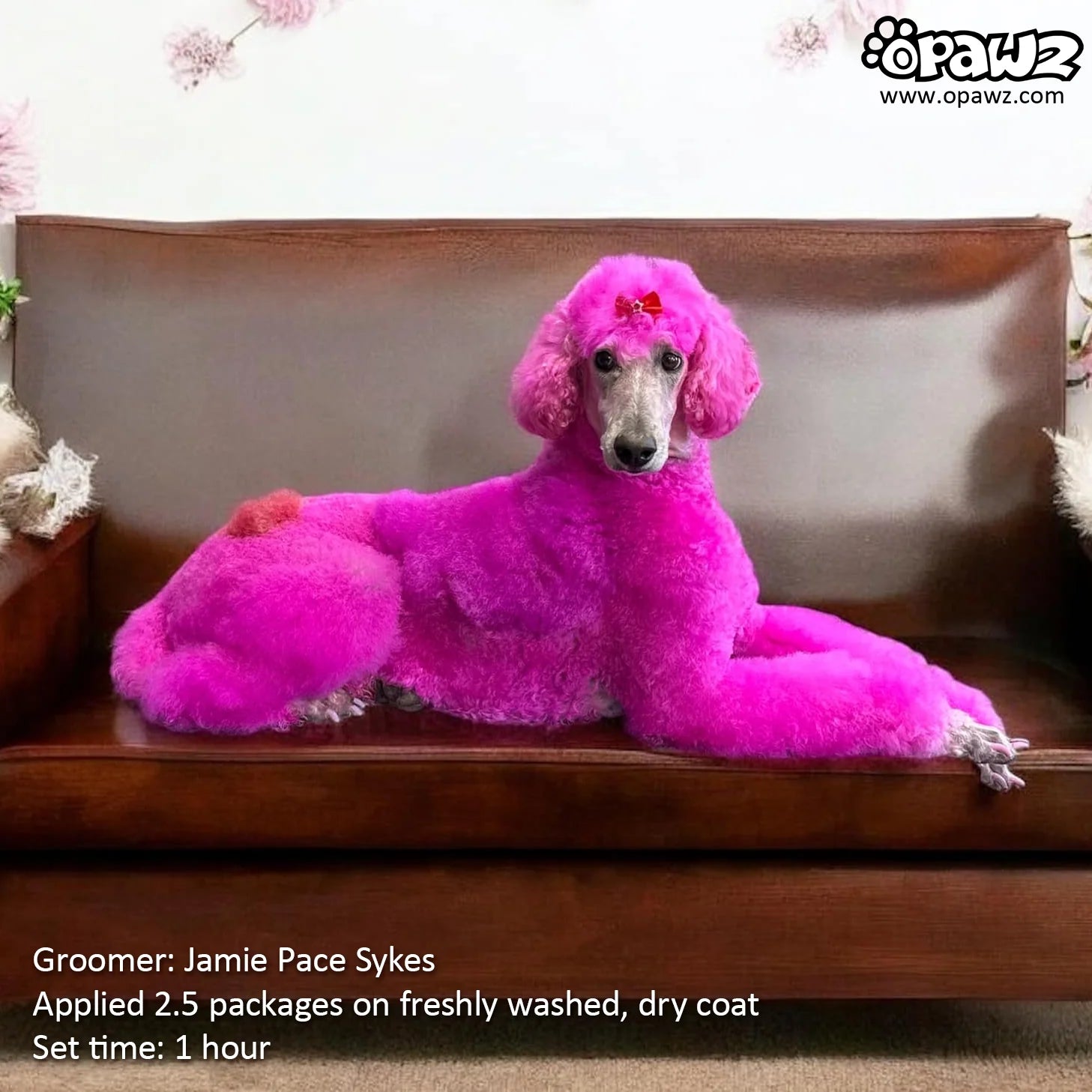 Opawz Masca pentru colorarea parului - Petal Pink