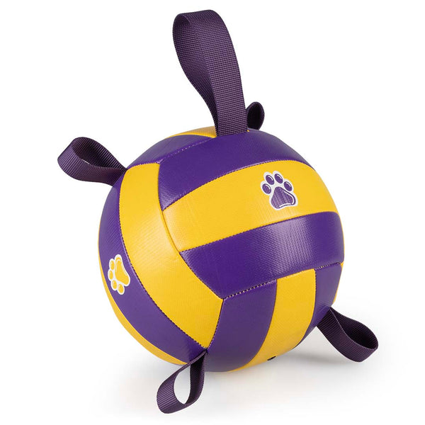 Jucarie Minge Volei cu pompa 18.5cm