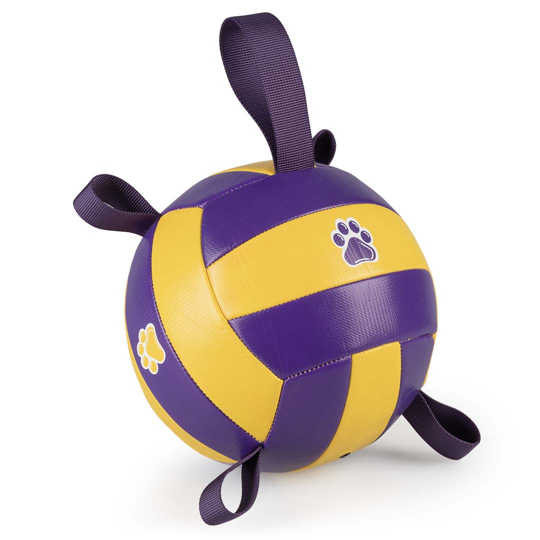Jucarie Minge Volei cu pompa 18.5cm
