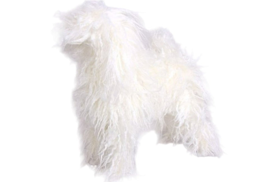 Blana Manechin Caine Toy Poodle