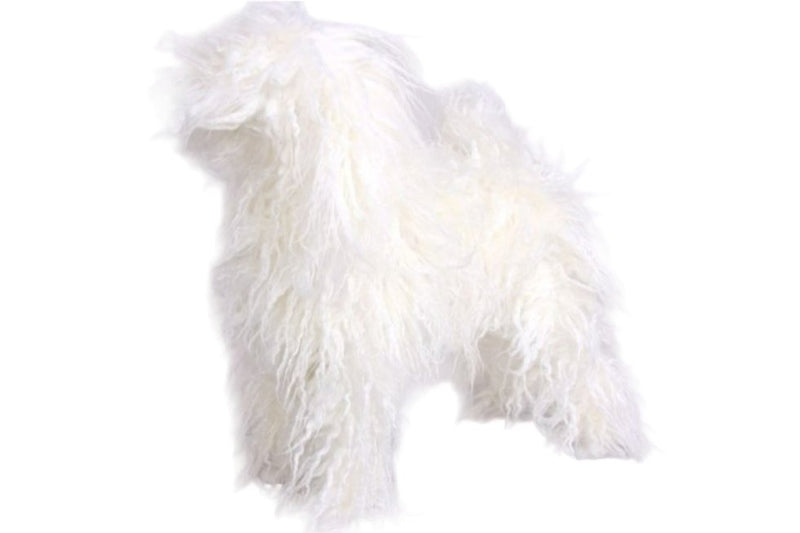 Blana Manechin Caine Toy Poodle