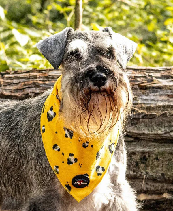 Long Paws Bandana FTD Mustard Panda