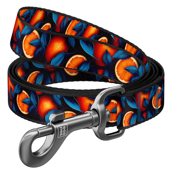 Waudog Lesa nylon Oranges