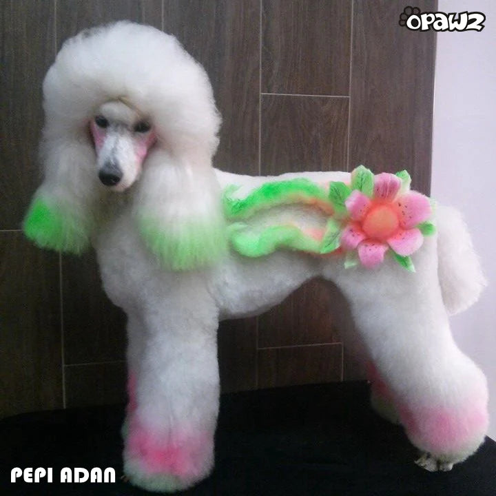 Opawz Vopsea Fosforescenta UV - Roz