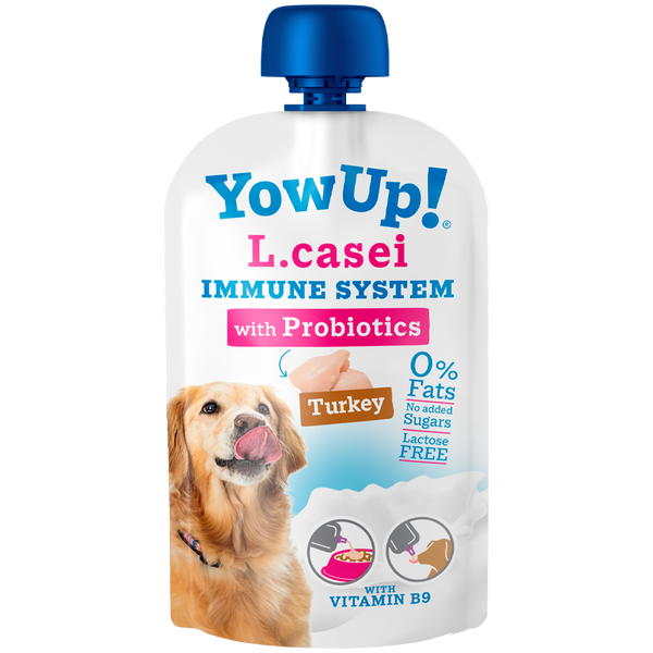 YowUp! L. Casei Probiotics curcan