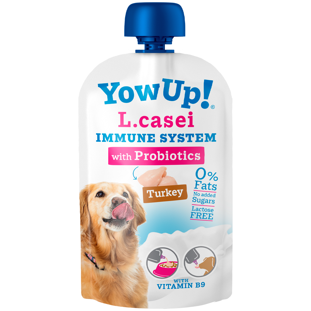 YowUp! L. Casei Probiotics curcan