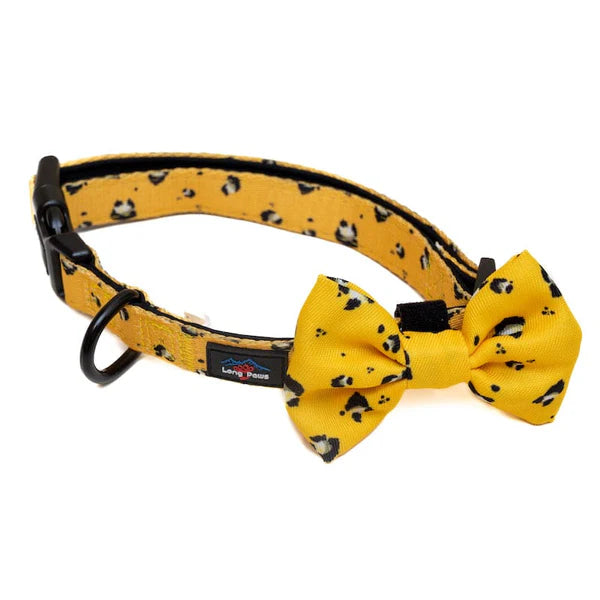 Long Paws Papion FTD-Mustard Panda