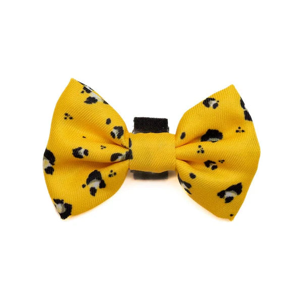 Long Paws Papion FTD-Mustard Panda