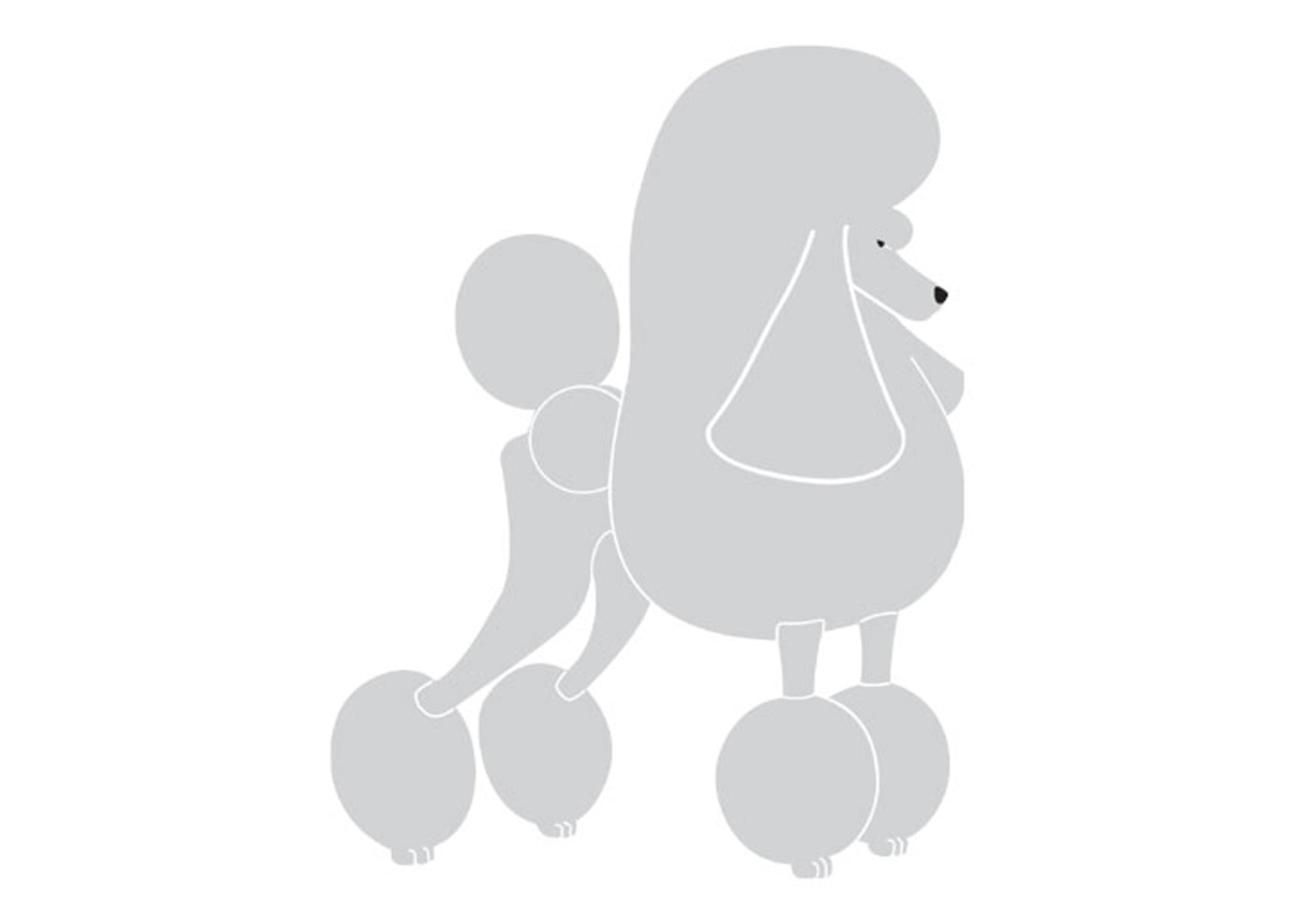 Autocolant Poodle Continental 25 cm Silver Dreapta