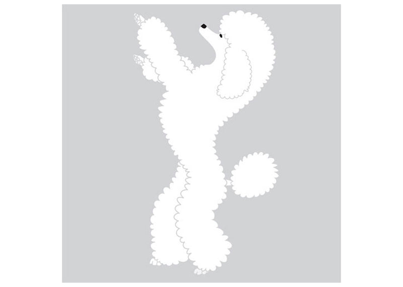 Autocolant Poodle in picioare 25 cm Alb Stanga
