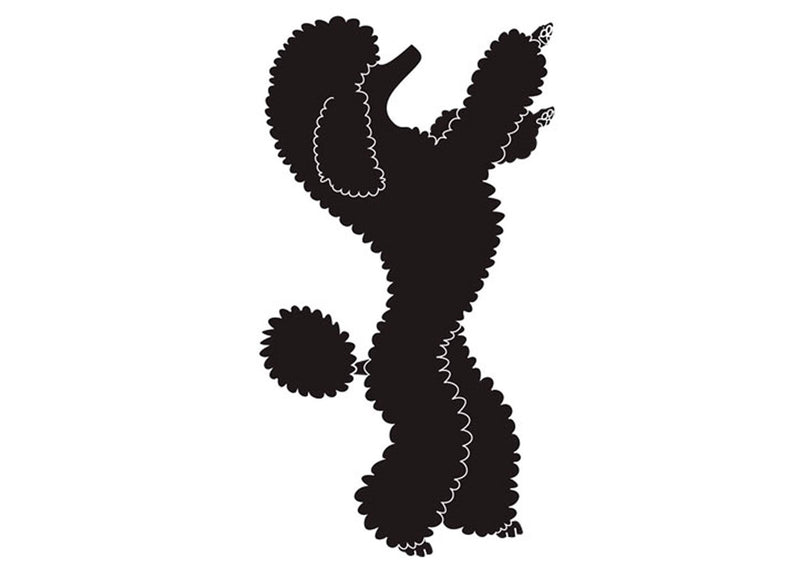 Autocolant Poodle in picioare 10 cm Negru Dreapta
