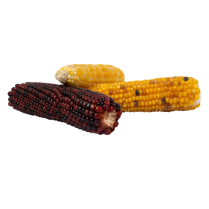 Porumb Mix pentru iepuri
