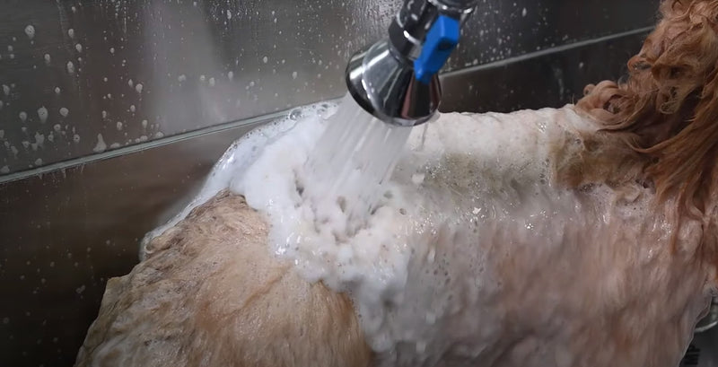 Sistem Power Bather