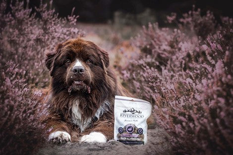 RW Farmer's Pride Recompense din carne de rata si curcan 200g