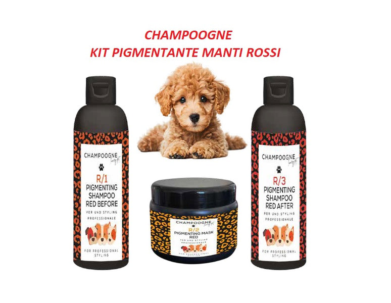 Champoogne Kit pentru blana roscata/apricot