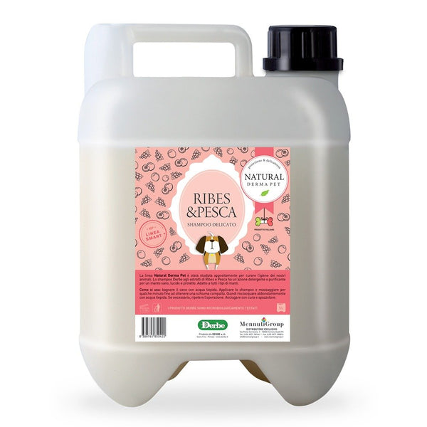 NDP Sampon cu Coacaze Negre si Piersica 5L