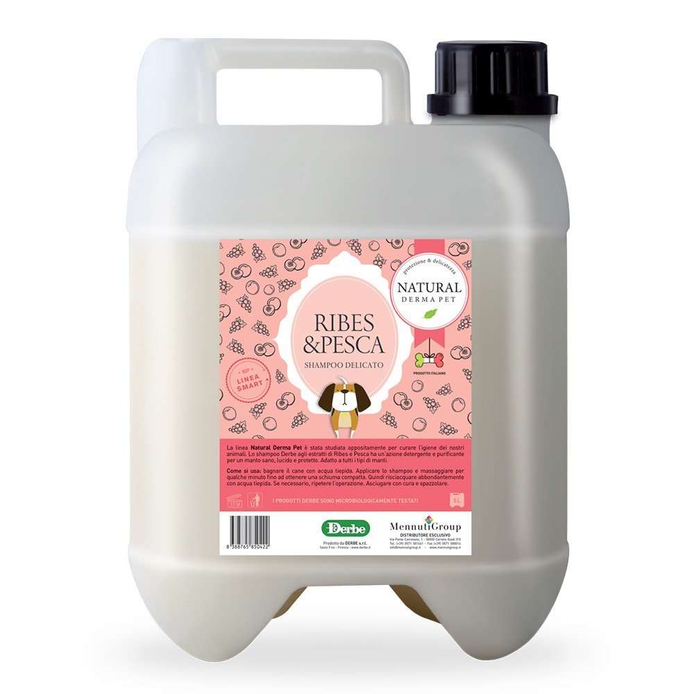 NDP Sampon cu Coacaze Negre si Piersica 5L