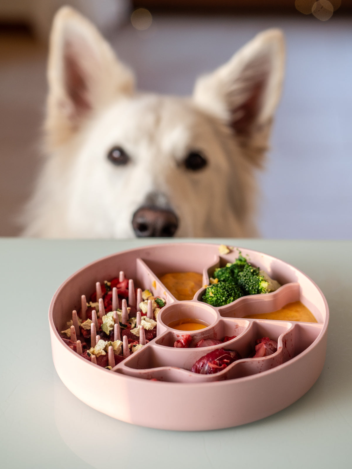 Fiboo Bol Hranire lenta Roz