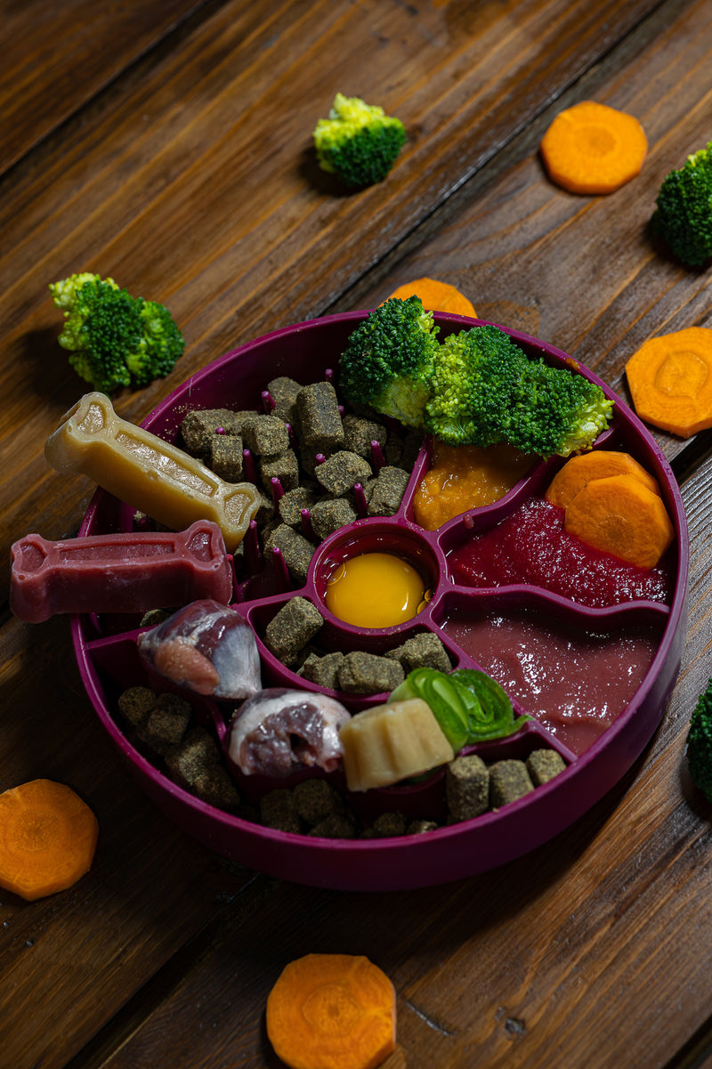 Fiboo Bol Hranire lenta Visiniu