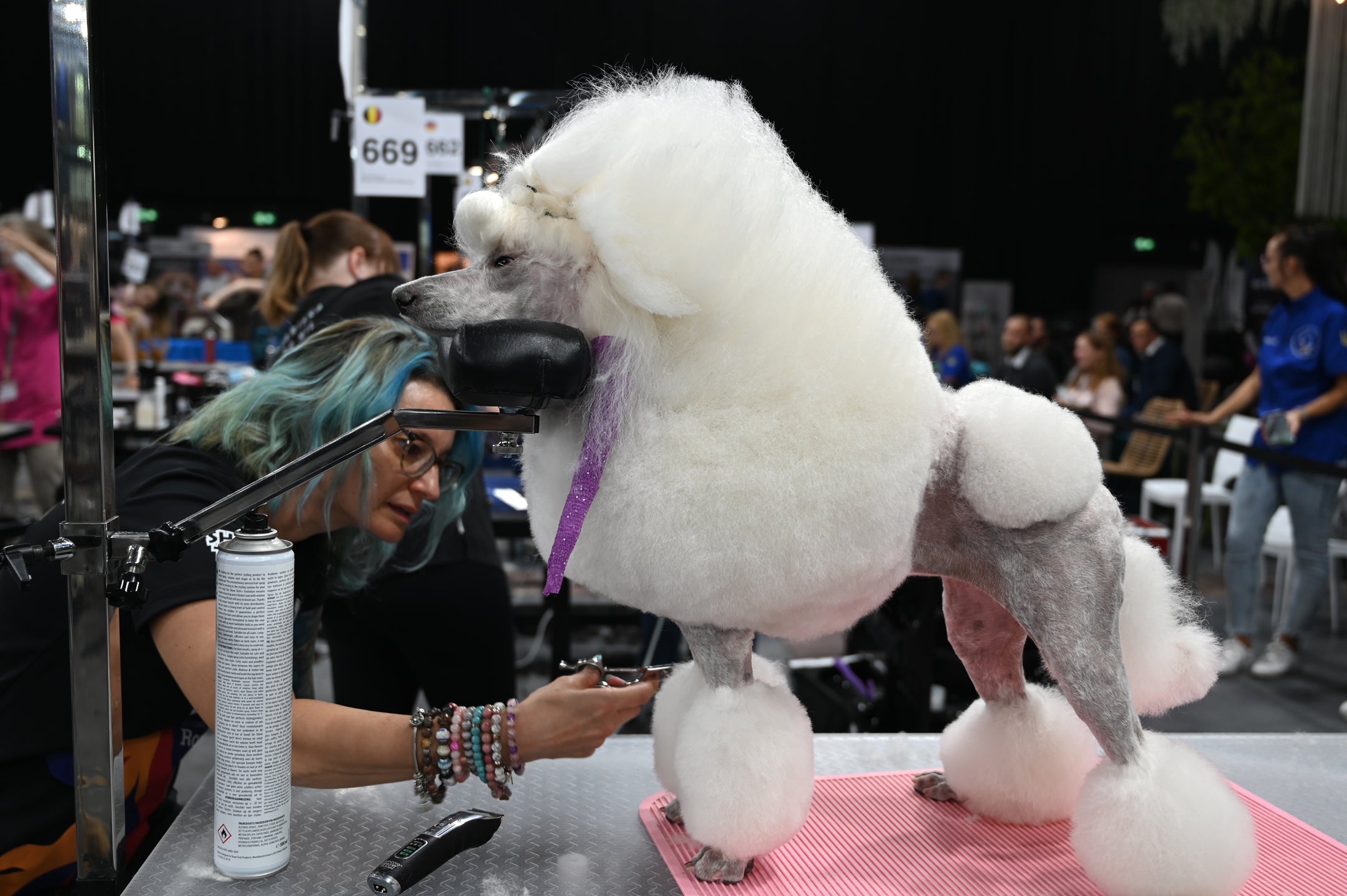 Groom-X pro Comfort Suport cap