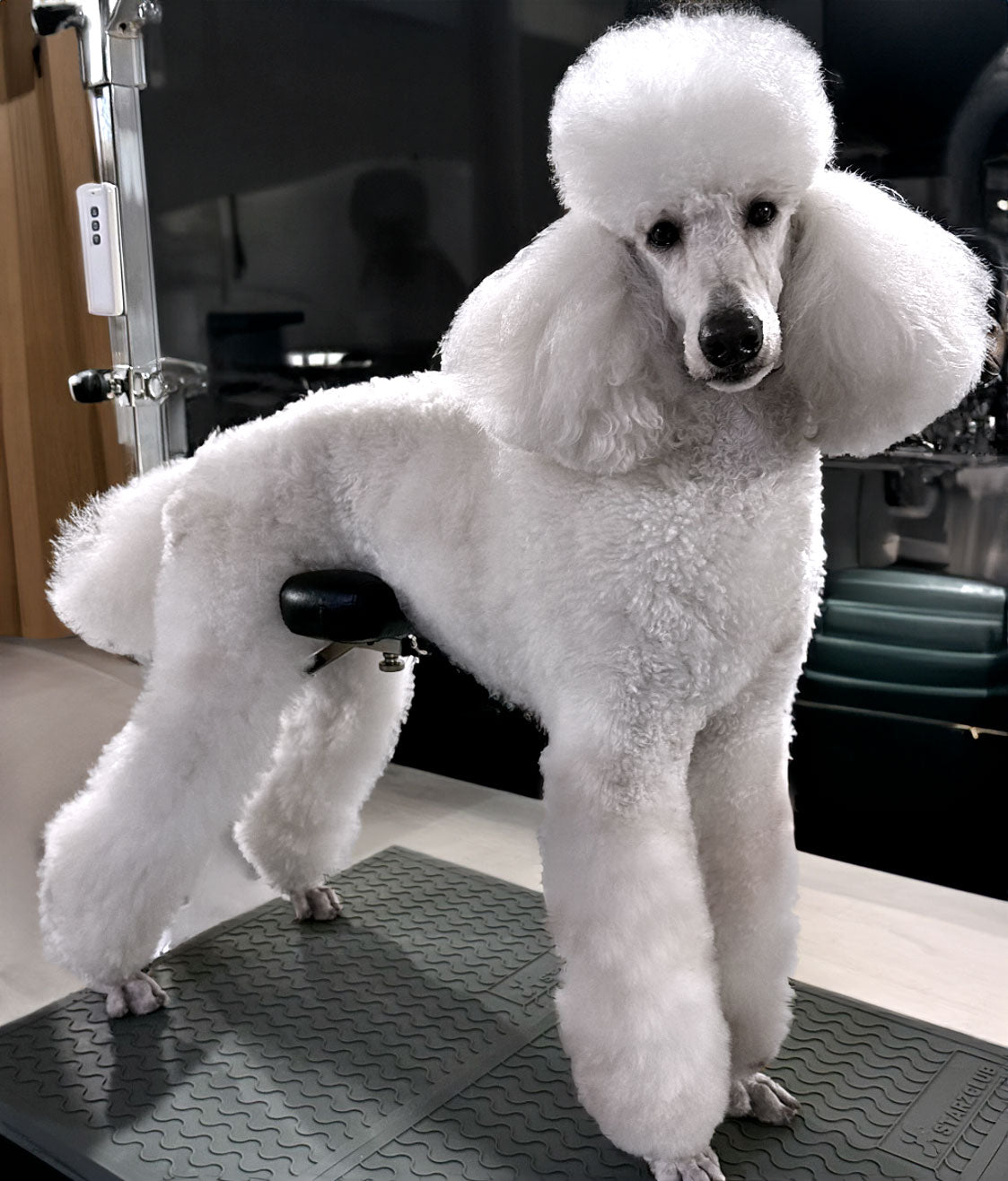 Groom-X pro Comfort Suport cap