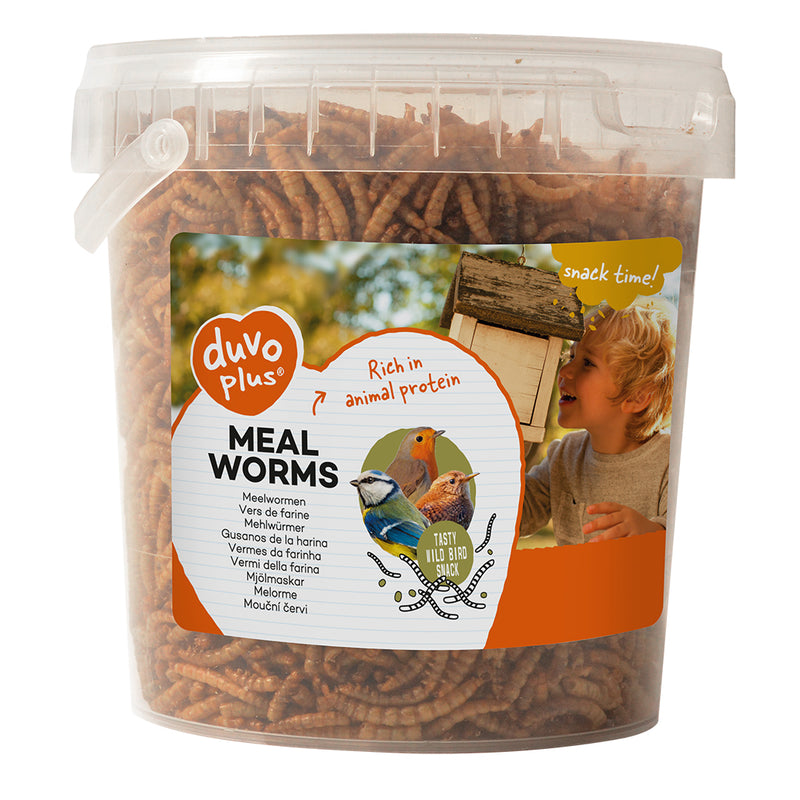 Expert ONE  viermi de faina 300g (Copy)
