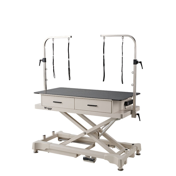 Masa electrica Waggz Step-Low