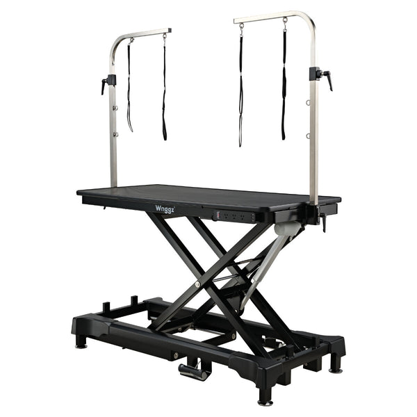 Masa electrica Waggz Step Low