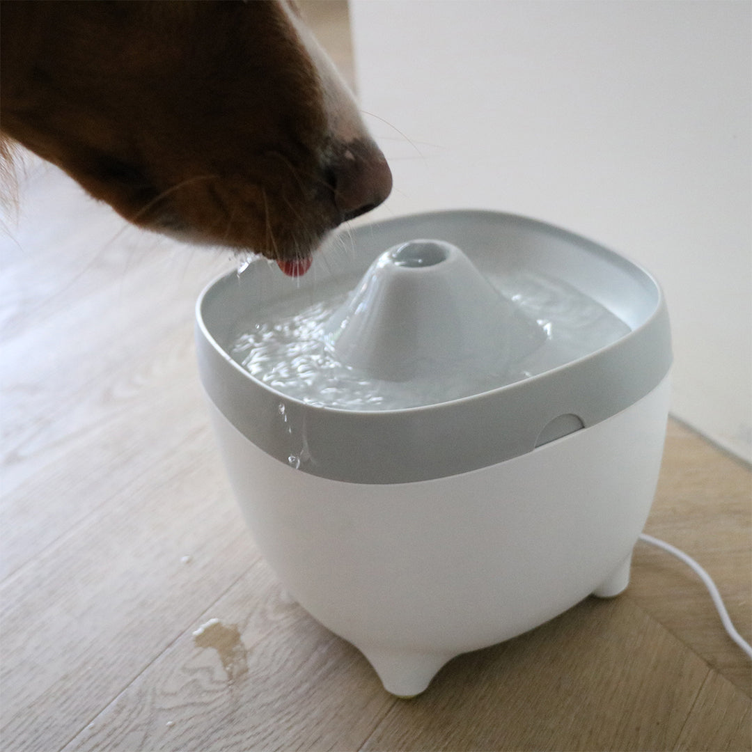 Fantana Yuna 2L alba/gri